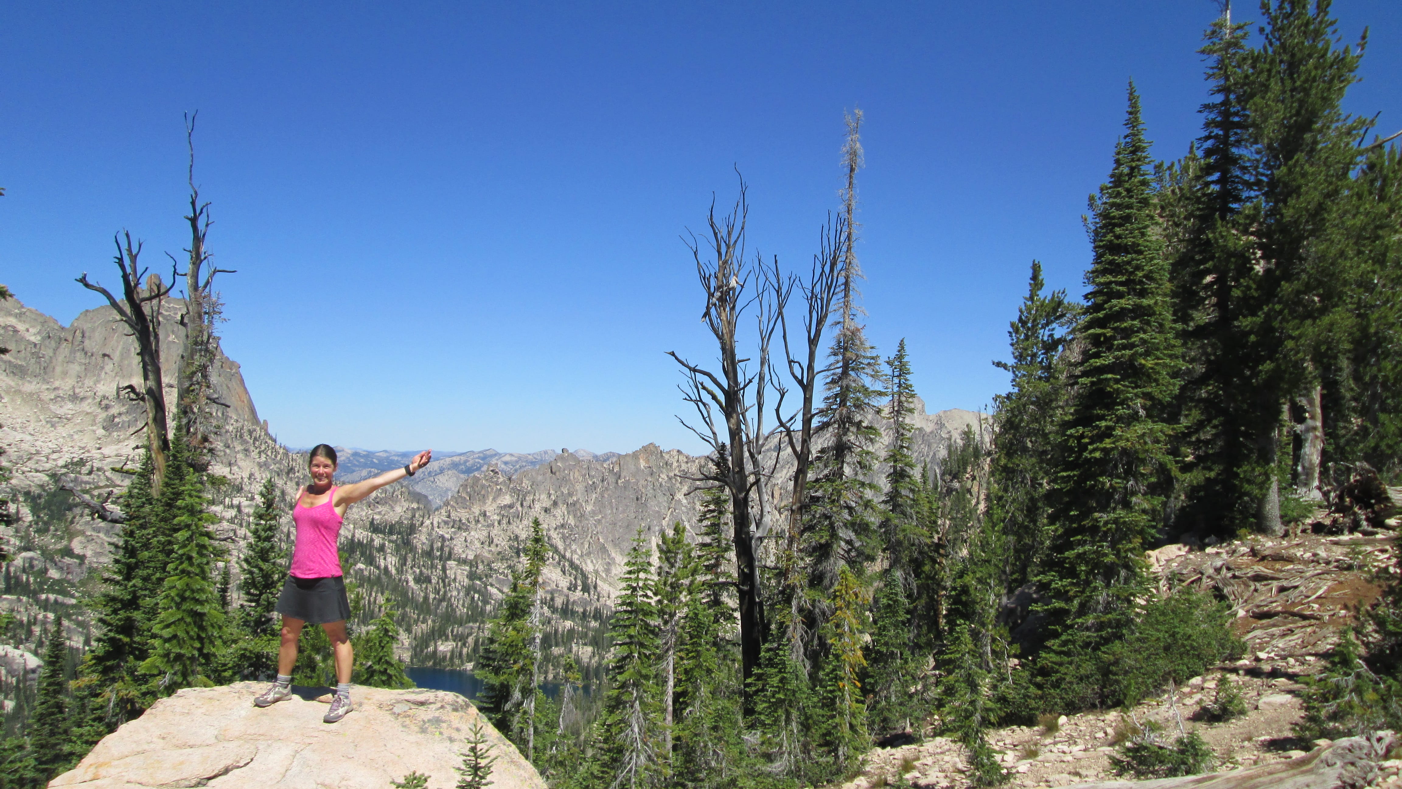 Erica Cole - Baron Divide