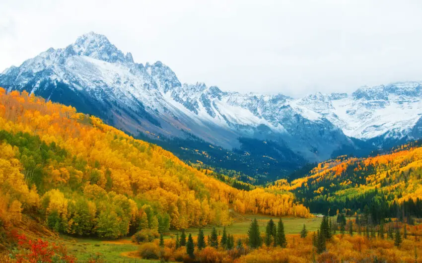 Colorado Equal Pay for Equal Work Act (EPEWA) - Job Posting 
